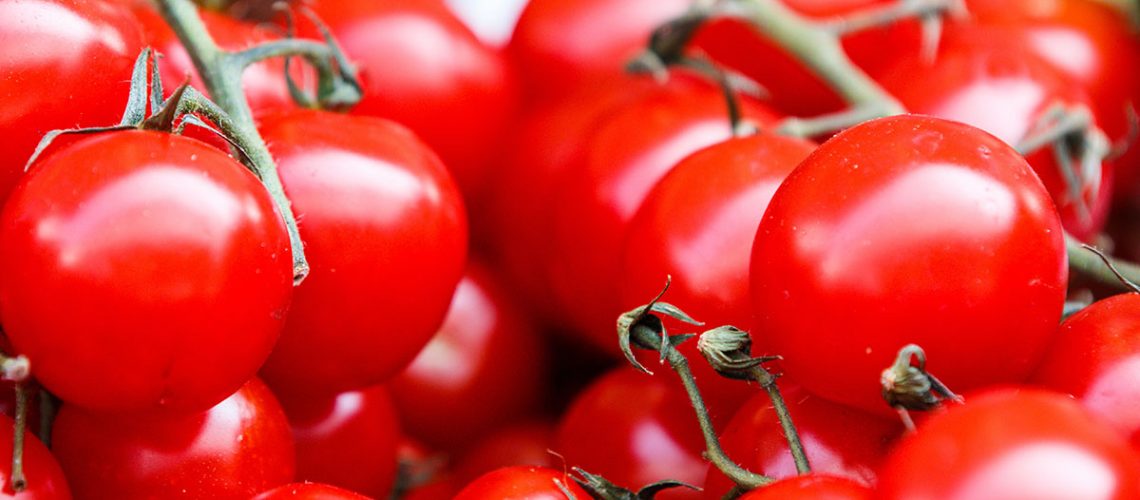 Welcher Wein zu Tomaten – Keine leichte Paarung!