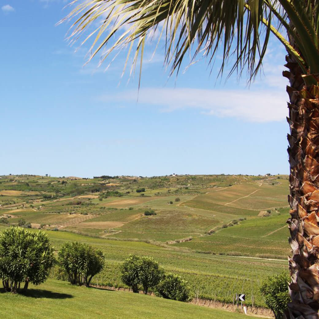 Sizilien / Weißwein